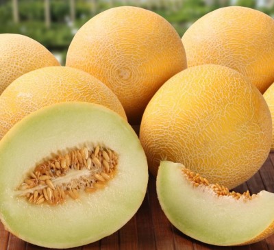 Melon Bereginya